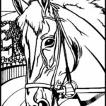 Quadro small Cavallo